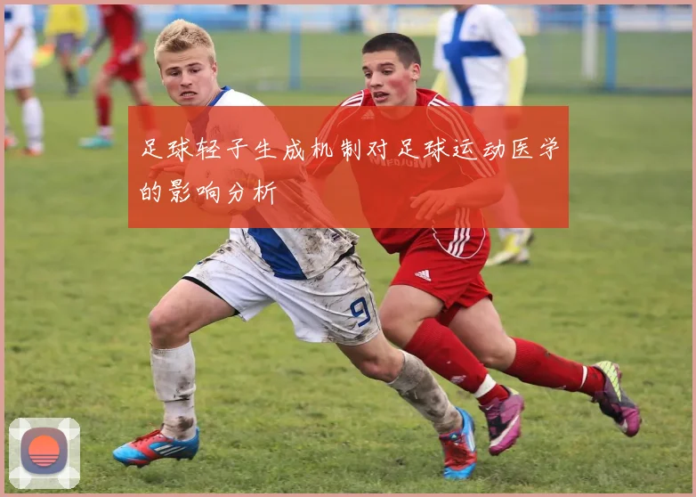 足球轻子生成机制对足球运动医学的影响分析